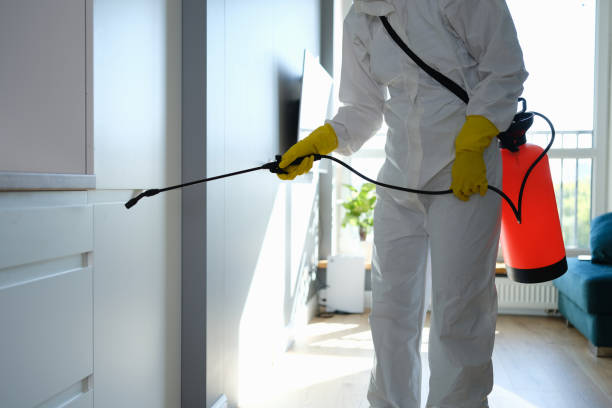 Best Mold Cleaning Services  in Lawrenceville, NJ