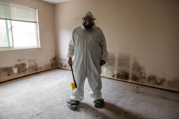 Best Mold Remediation Experts  in Lawrenceville, NJ